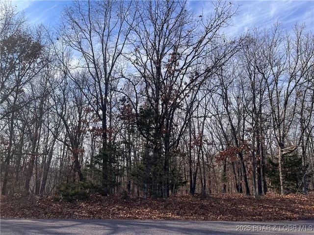 $84,500 | 2-3 South Buck Creek Road, Gravois Mills, MO 65037