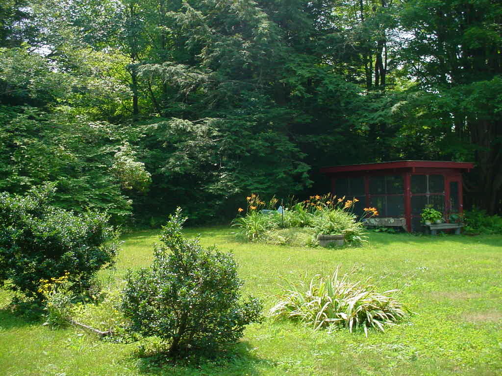 1330 Wade Inn Road Becket, MA 01223 - Photo 16 of 17 a backyard of a house with a garden and plants