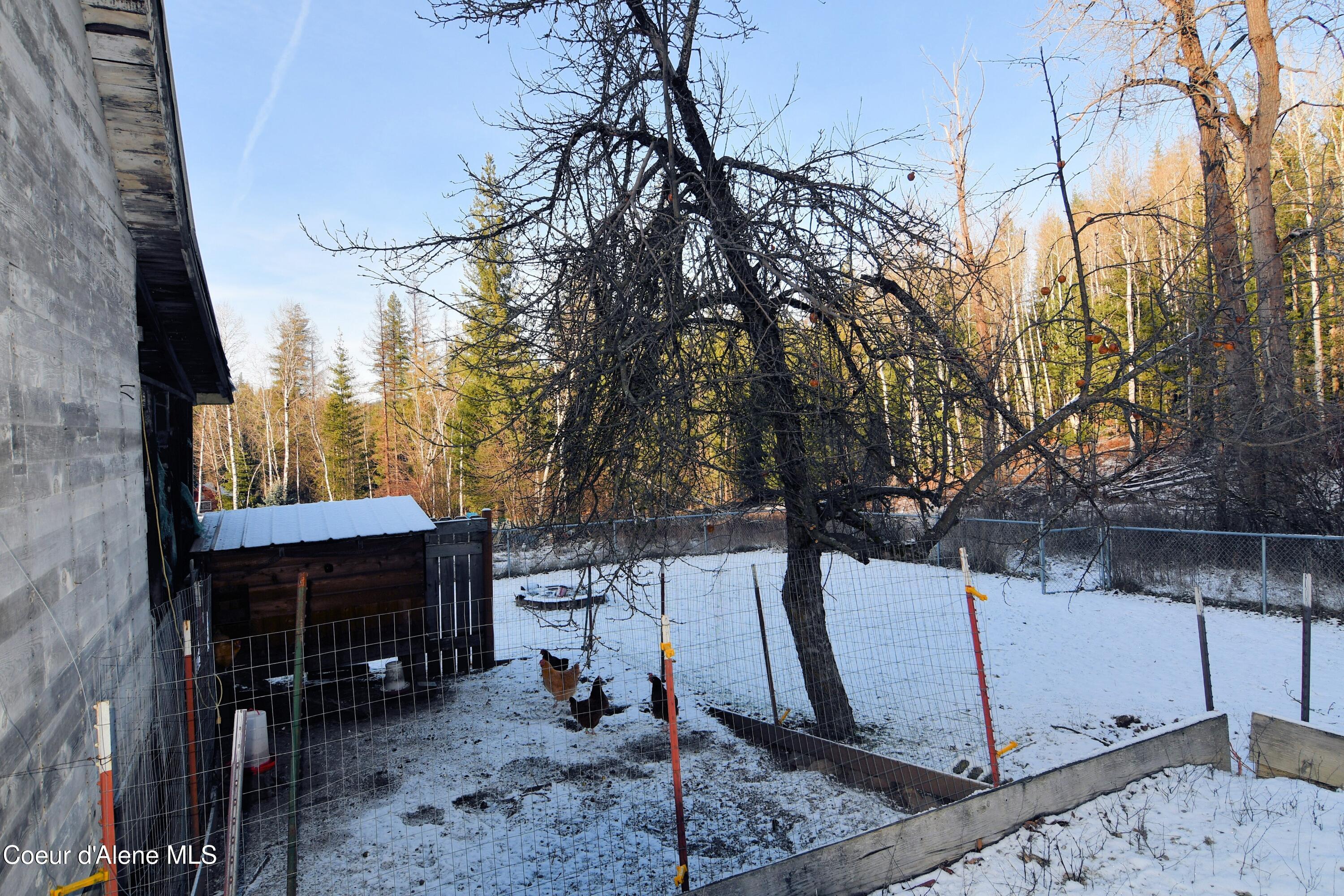 827-835 Lower Page Road Smelterville, ID 83868 - Photo 21 of 21 chicken yard behind garage