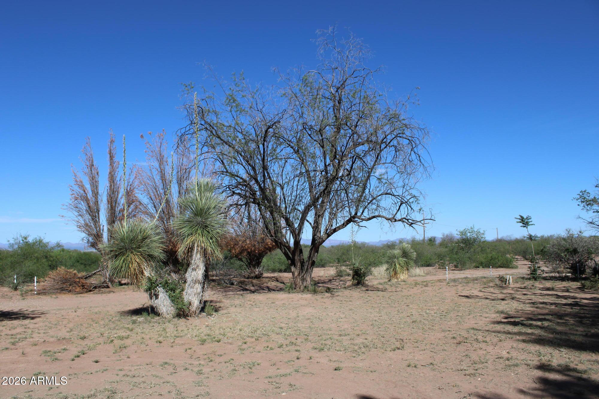 6830 North Frontier Road McNeal, AZ 85617 - Photo 42 of 46
