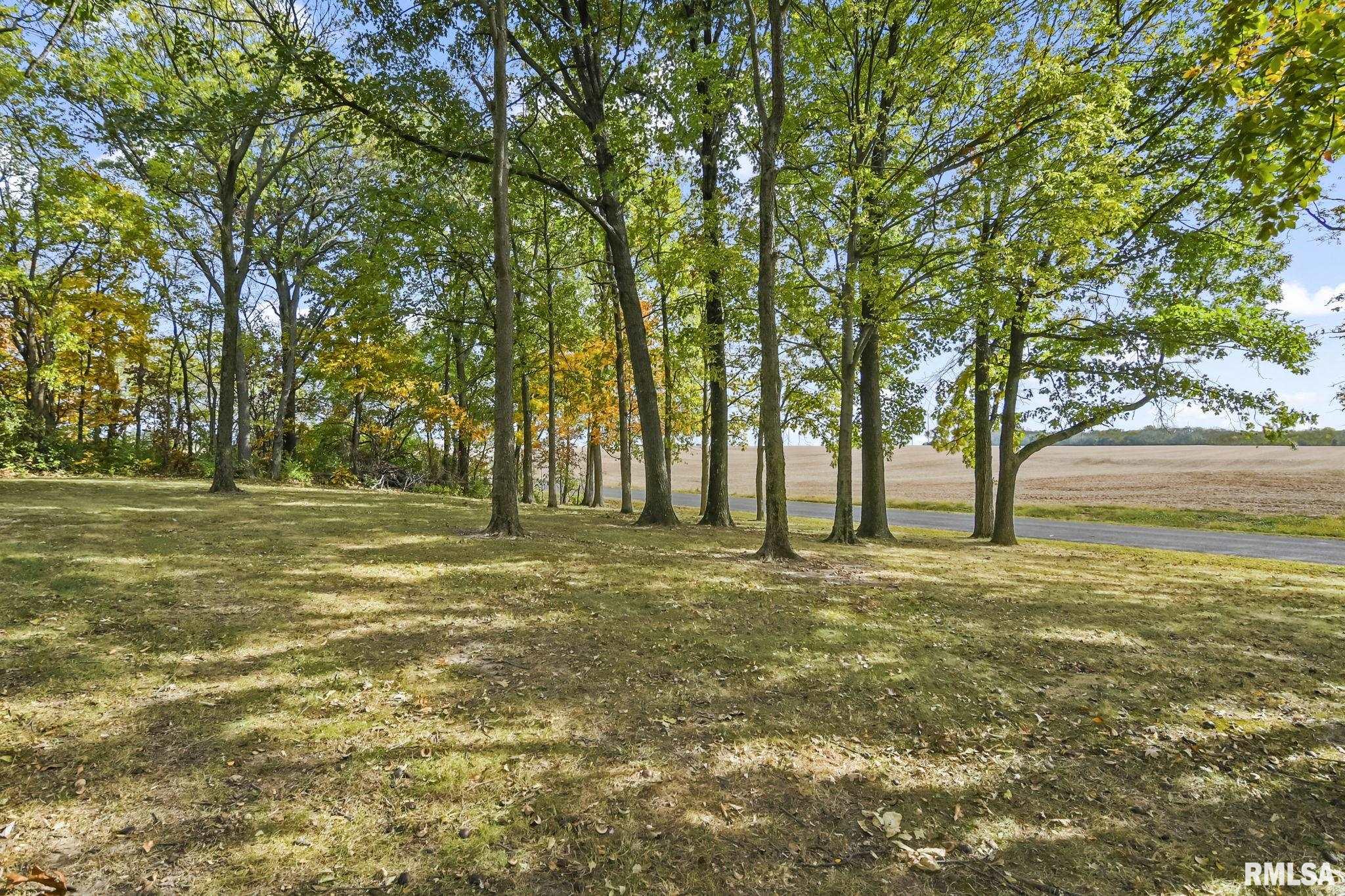 2552 Loami Road Jacksonville, IL 62650 - Photo 30 of 34