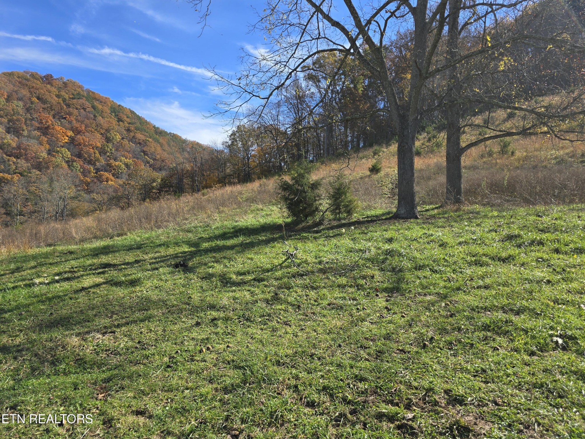 2391 Hogskin Road Washburn, TN 37888 - Photo 15 of 30 Gallery Image 15