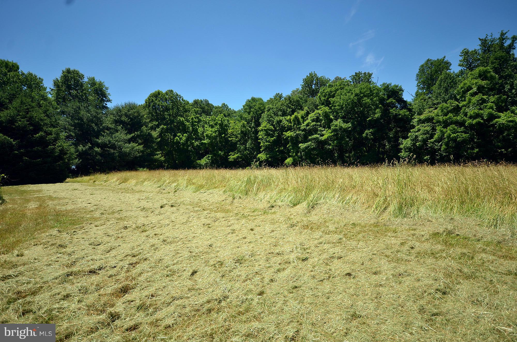 2127 Allibone Road Bel Air, MD 21015 - Photo 4 of 7 County approved PERC