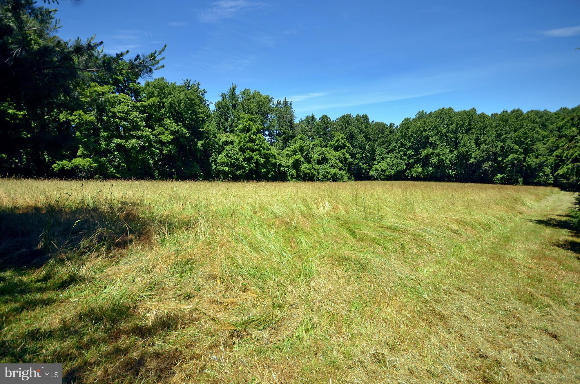 2127 Allibone Road Bel Air, MD 21015 - Photo 5 of 7 The perfect lot to build your dream home