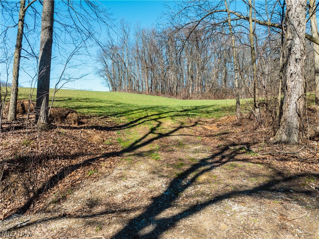 Burrier Road Jewett, OH 43986 - Photo 36 of 37