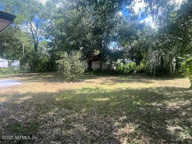 a view of a yard with a tree