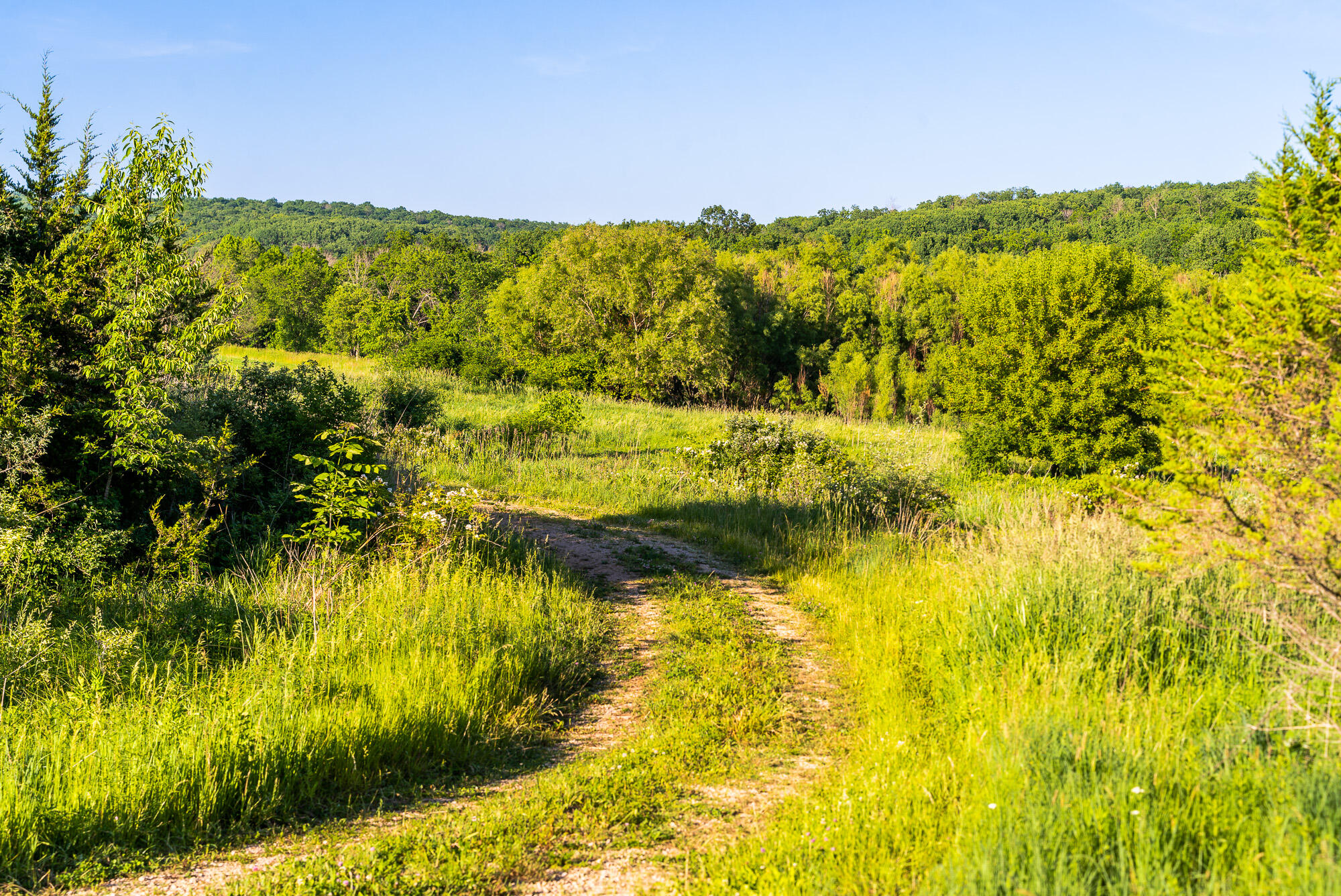 Lt0 Denzer Road North Freedom, WI 53951 - Photo 36 of 68 Sauk-County-WI-54-Acres-Land-For-Sale-36