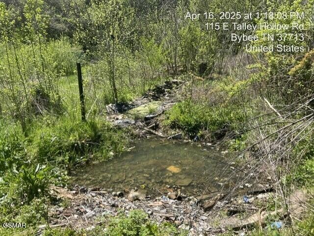 115 East Talley Hollow Road Newport, TN 37821 - Photo 4 of 4 Gallery Image 4