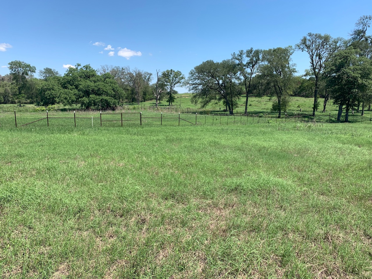 133 Clearfork Road Lockhart, TX 78644 - Photo 3 of 19 a view of a park