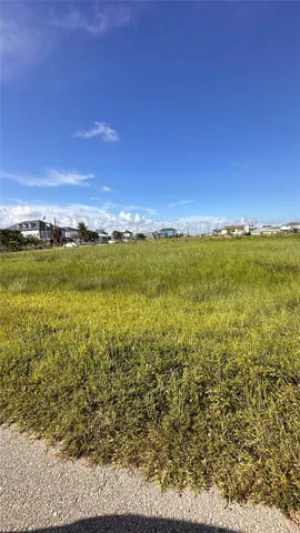a view of an ocean from a yard