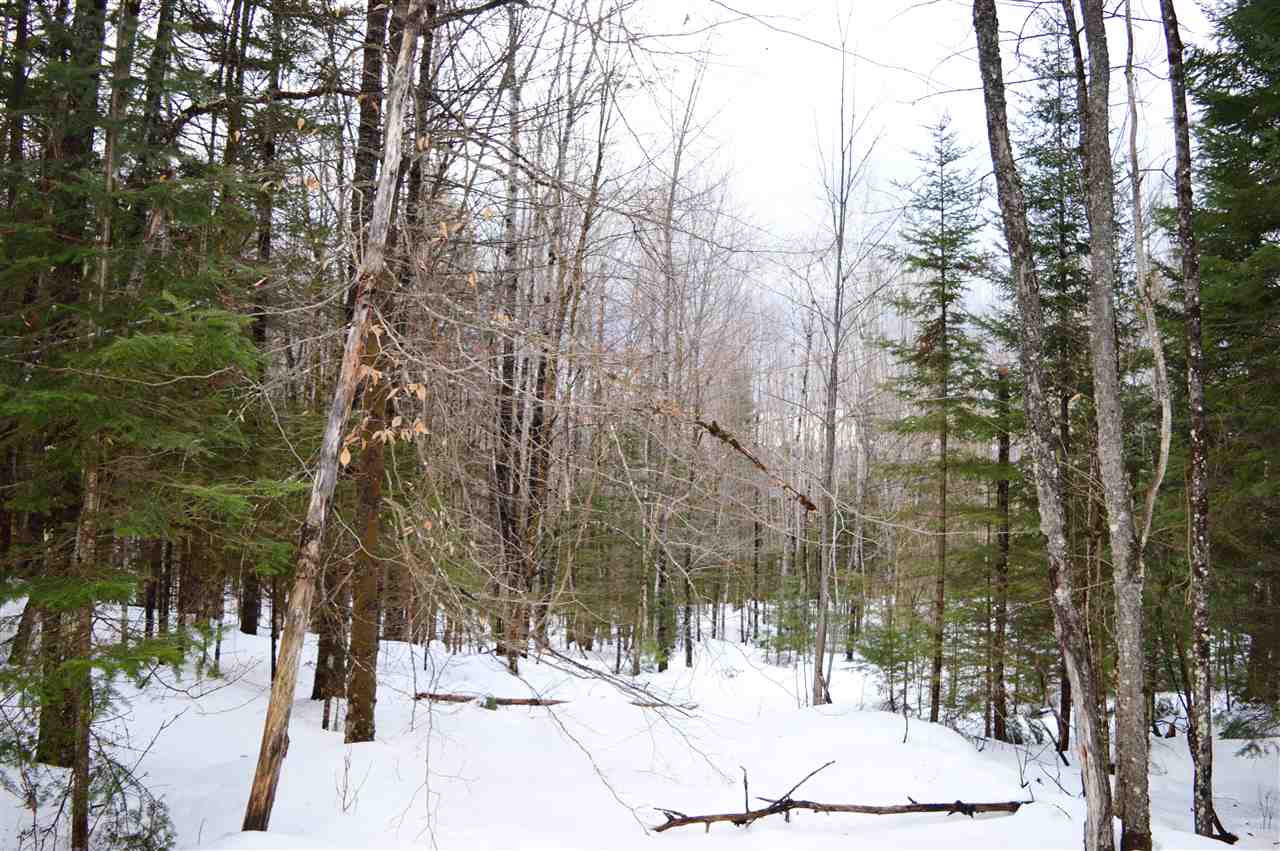 0 Cherry Valley Road, Unit 82 Bethlehem, NH 03574 - Photo 22 of 37