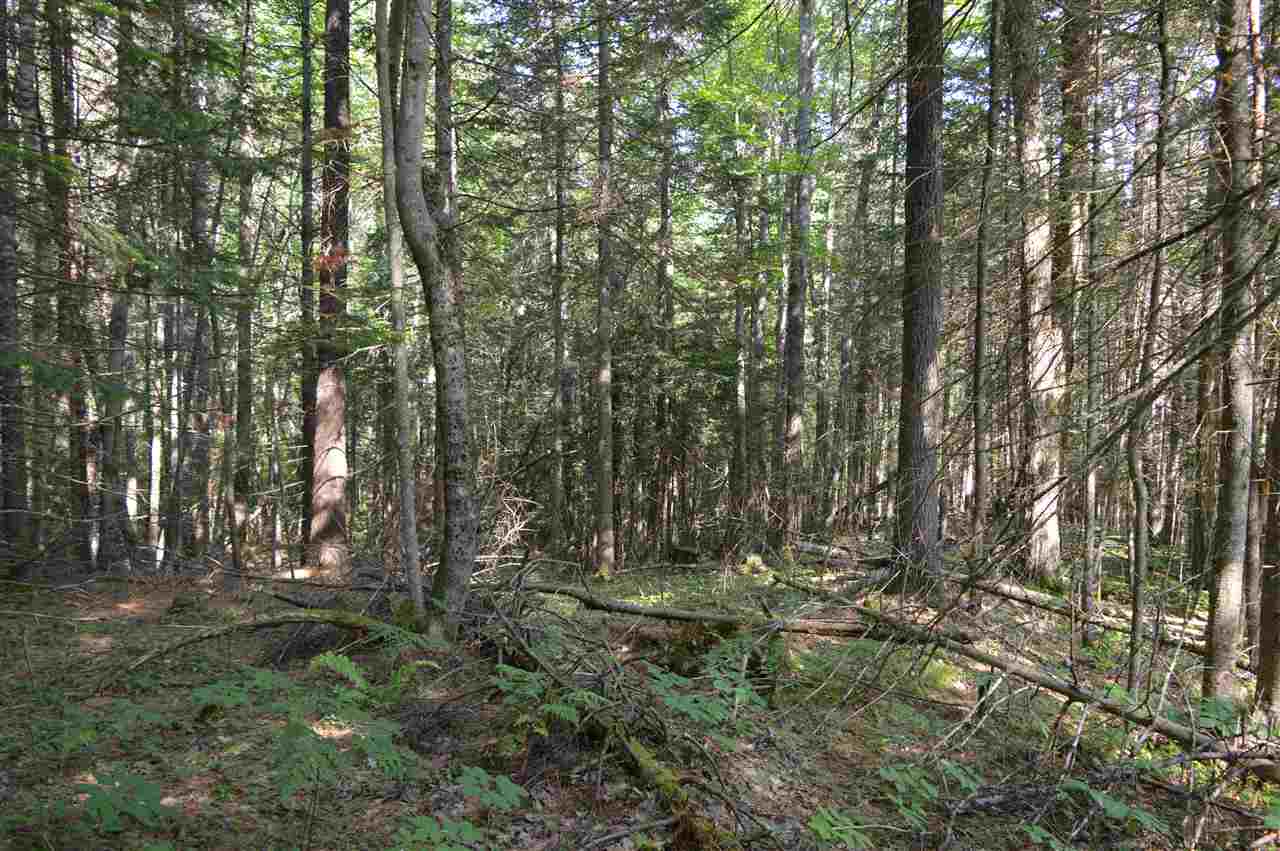 0 Cherry Valley Road, Unit 82 Bethlehem, NH 03574 - Photo 8 of 37