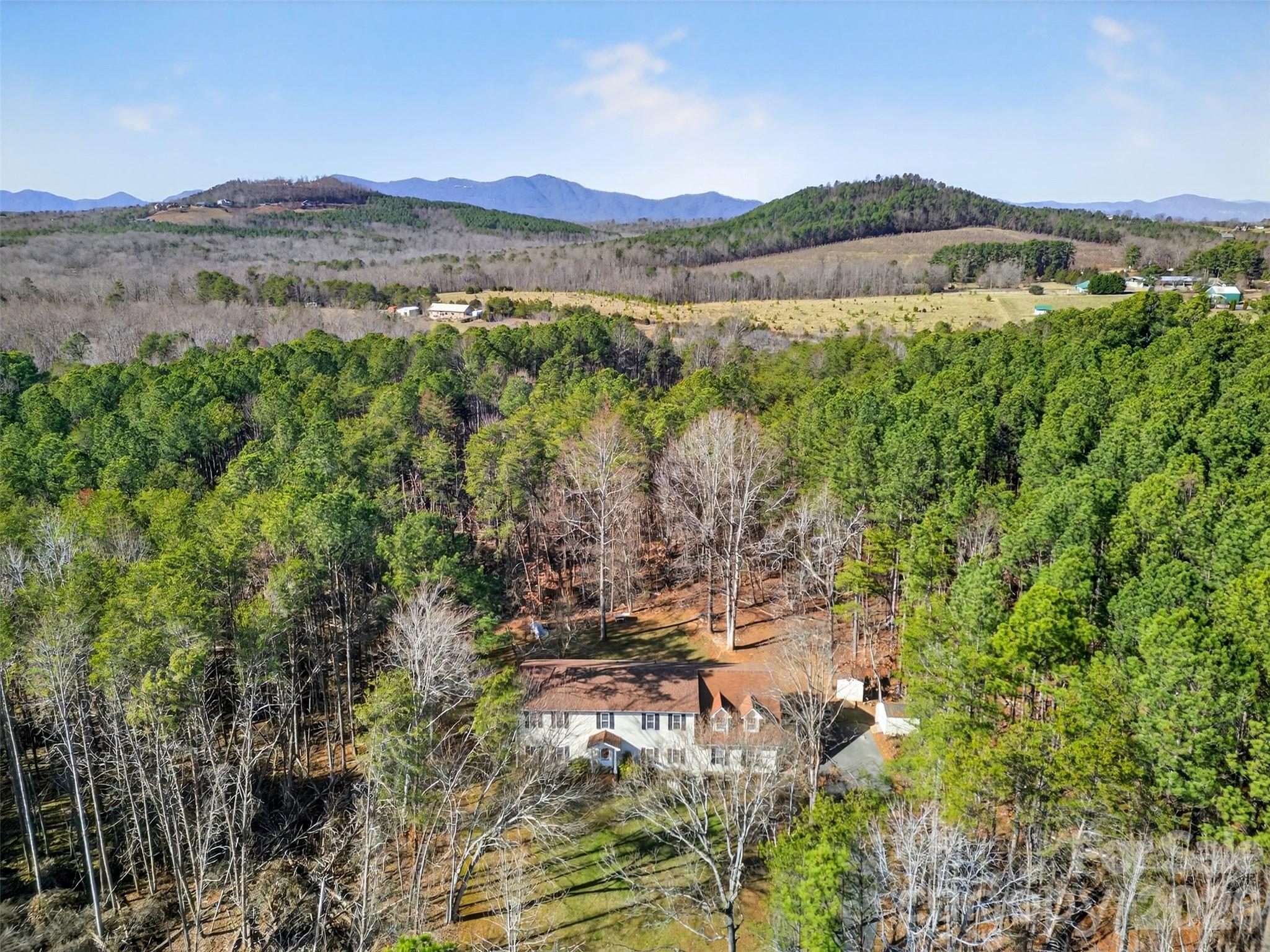 1146 Landrum Road Columbus, NC 28722 - Photo 41 of 46