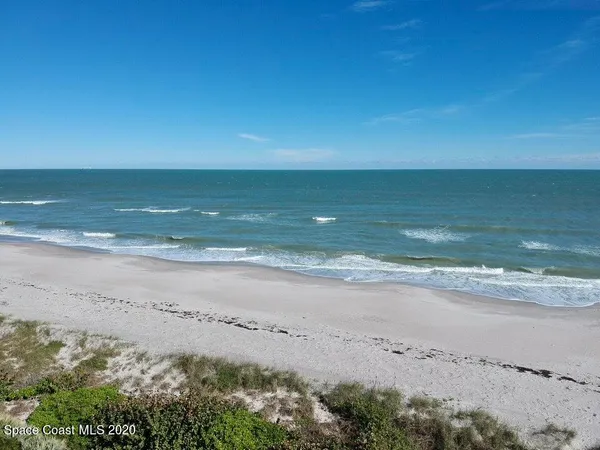 a view of a yard with an trees