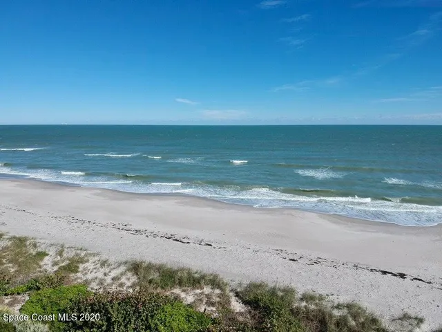 a view of a yard with an trees
