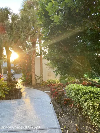 a view of a garden with a tree