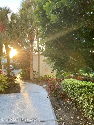 a view of a garden with a tree
