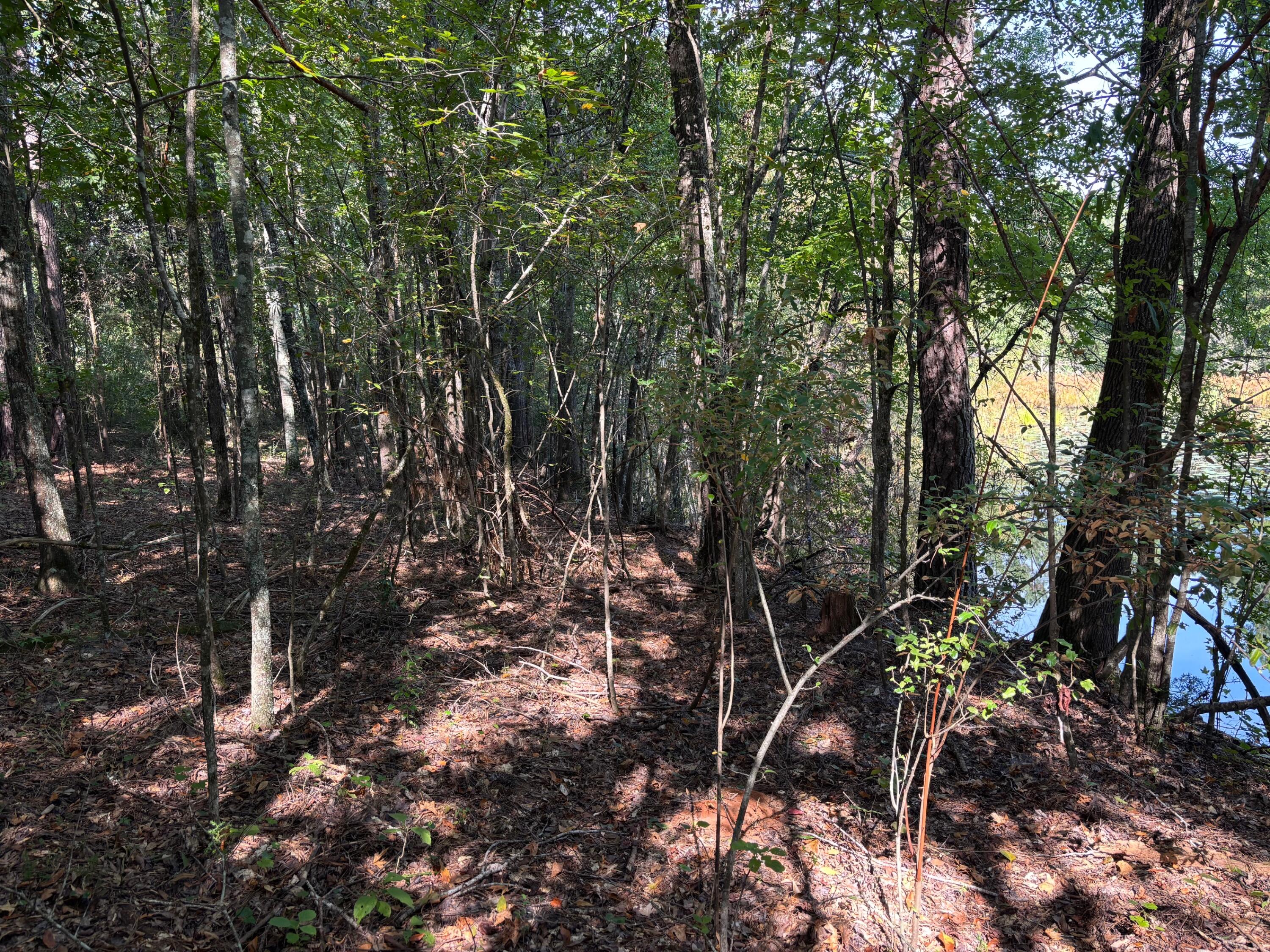 1460 Whitetown Road McCormick, SC 29835 - Photo 12 of 12