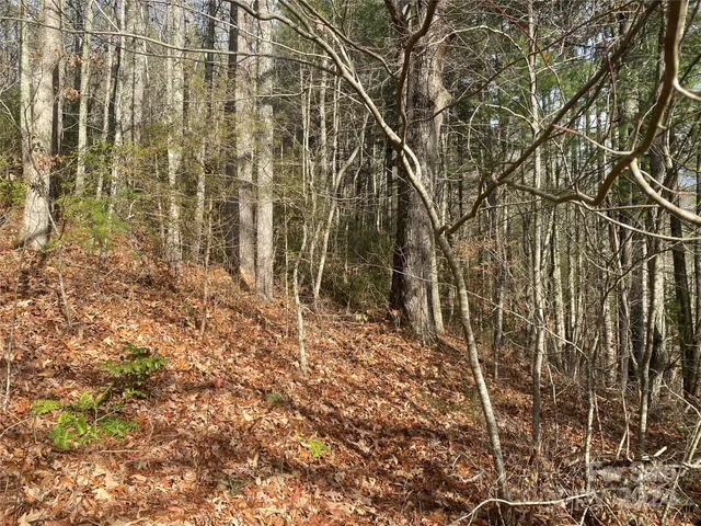 $69,000 | 0 Gospel Drive, Sylva, NC 28779