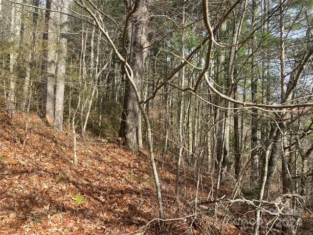 $69,000 | 0 Gospel Drive, Sylva, NC 28779