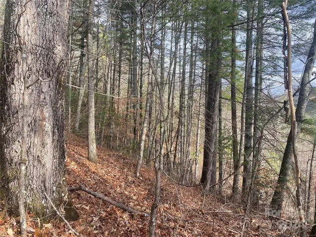 $69,000 | 0 Gospel Drive, Sylva, NC 28779