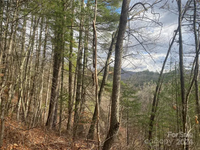 $69,000 | 0 Gospel Drive, Sylva, NC 28779