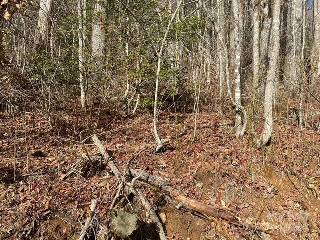 $69,000 | 0 Gospel Drive, Sylva, NC 28779