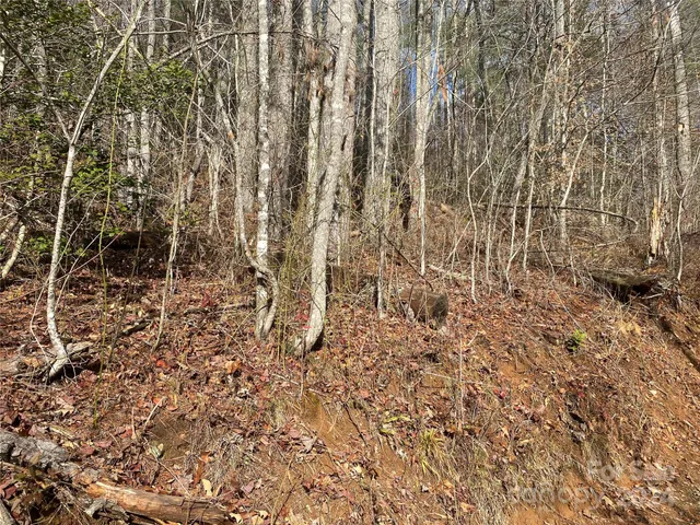 $69,000 | 0 Gospel Drive, Sylva, NC 28779