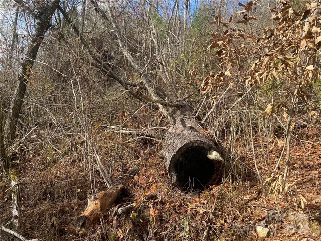 $69,000 | 0 Gospel Drive, Sylva, NC 28779