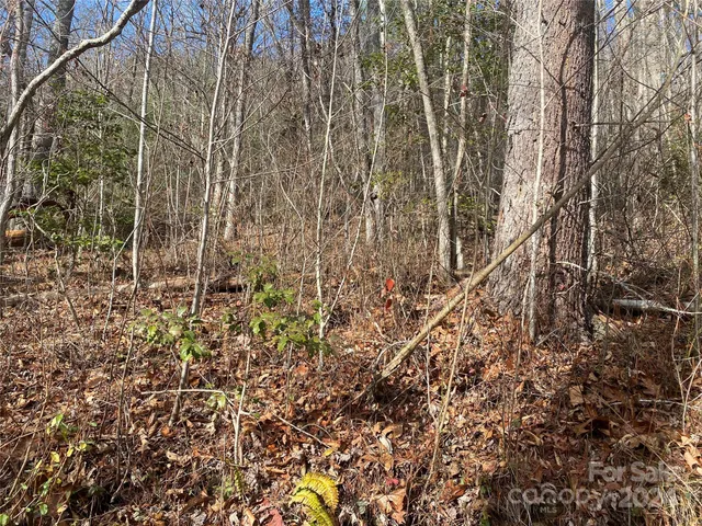 $69,000 | 0 Gospel Drive, Sylva, NC 28779