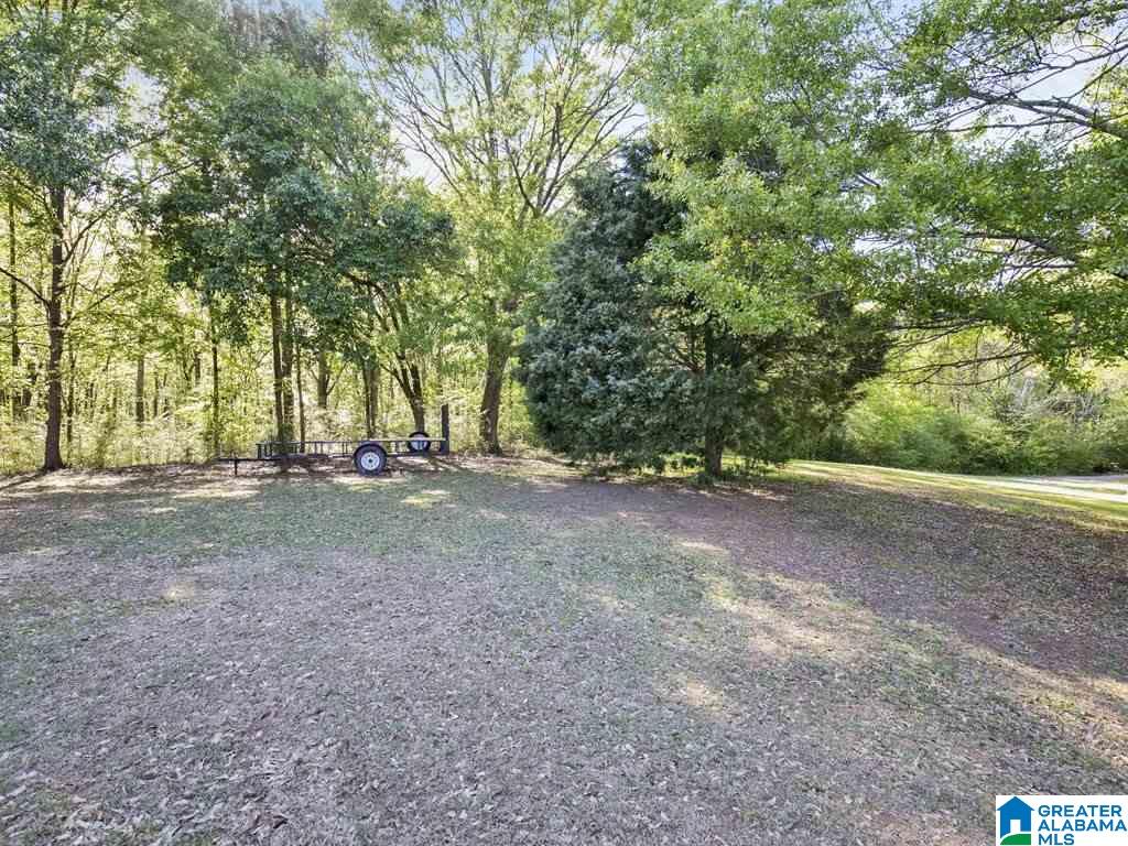 124 Star View Circle Alabaster, AL 35007 - Photo 20 of 25