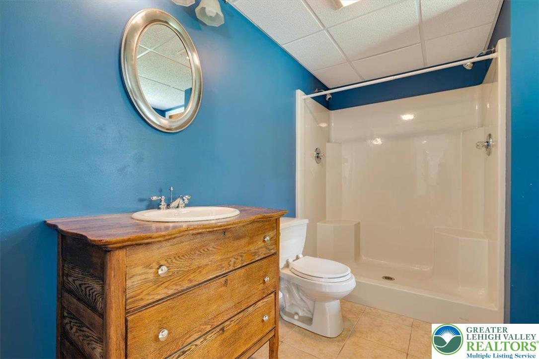 1488 Kelly Road Stroudsburg, PA 18360 - Photo 68 of 89 a bathroom with a sink a toilet and shower