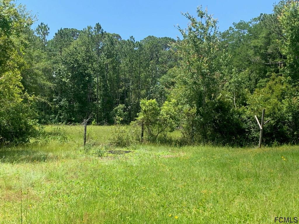 1192 Cedar Street Bunnell, FL 32110 - Photo 2 of 6