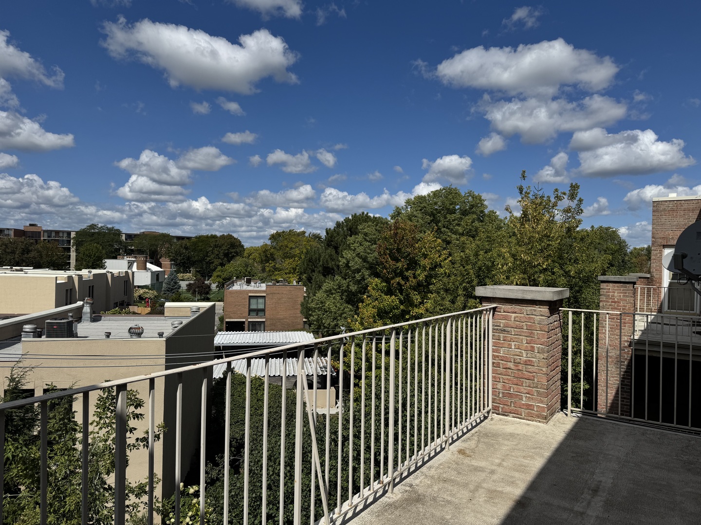 1200 South Prospect Avenue, Unit 303 Elmhurst, IL 60126 - Photo 14 of 21 a balcony of a house with wooden floor and city view