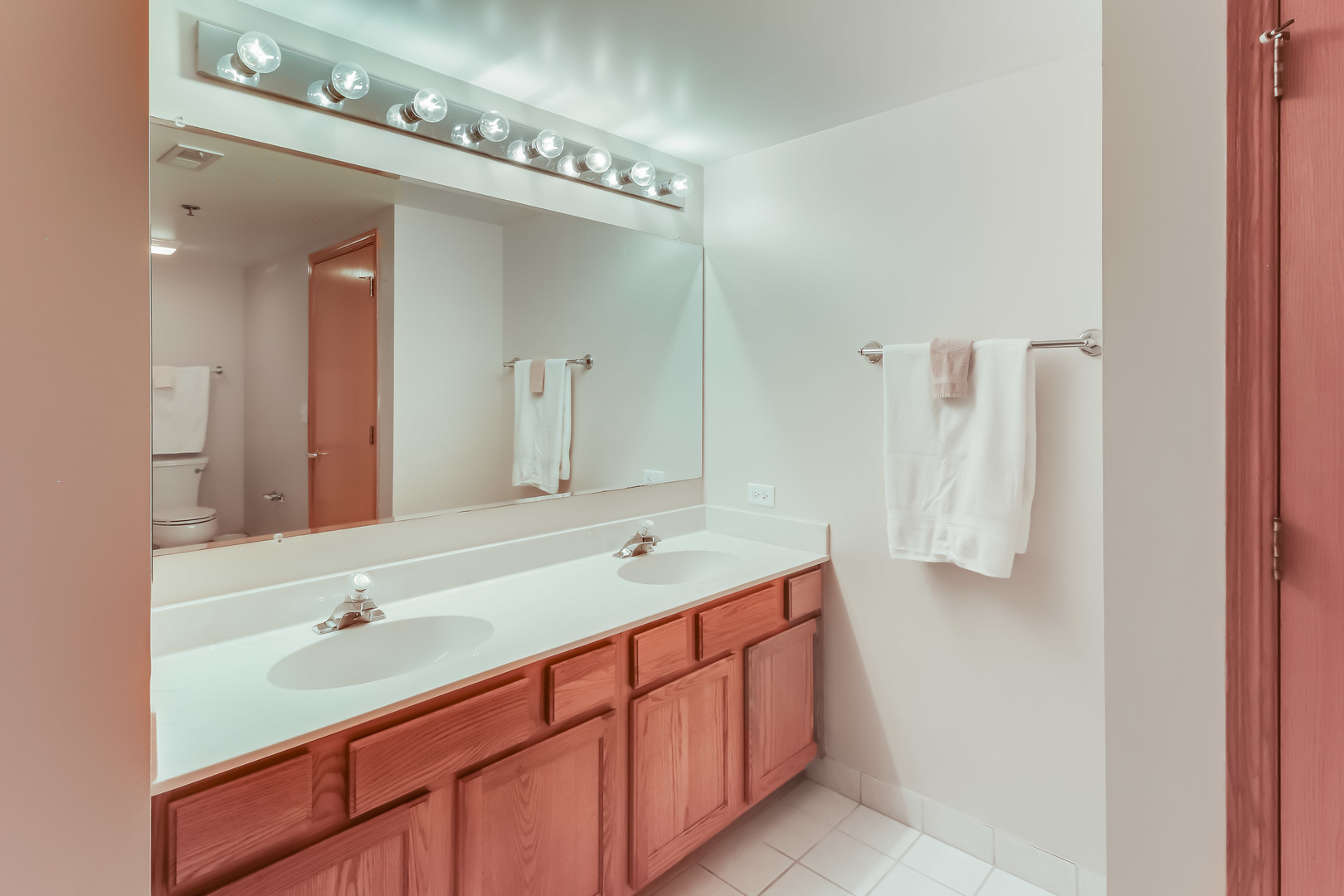 1200 South Prospect Avenue, Unit 303 Elmhurst, IL 60126 - Photo 8 of 21 a bathroom with a double vanity sink and a mirror