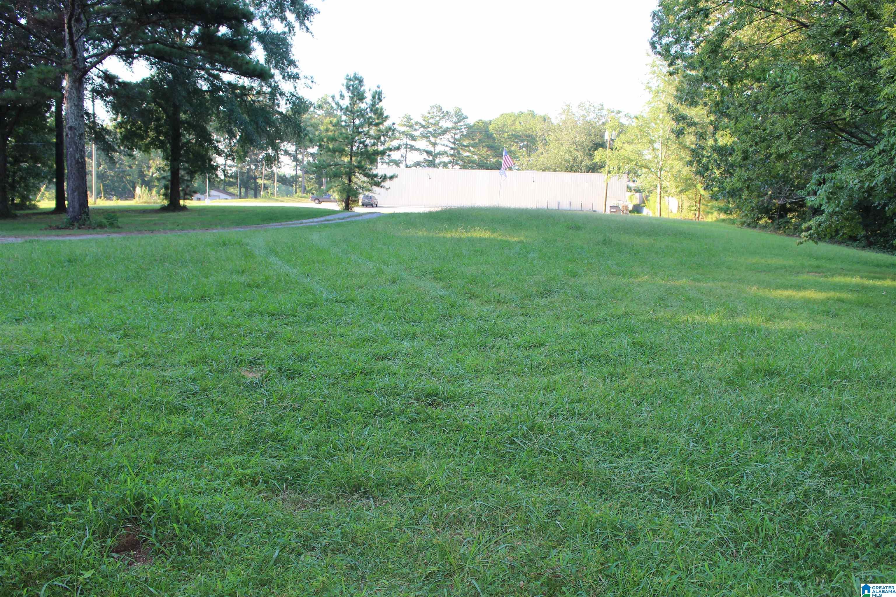 80 County Road 72 Danville, AL 35619 - Photo 11 of 11