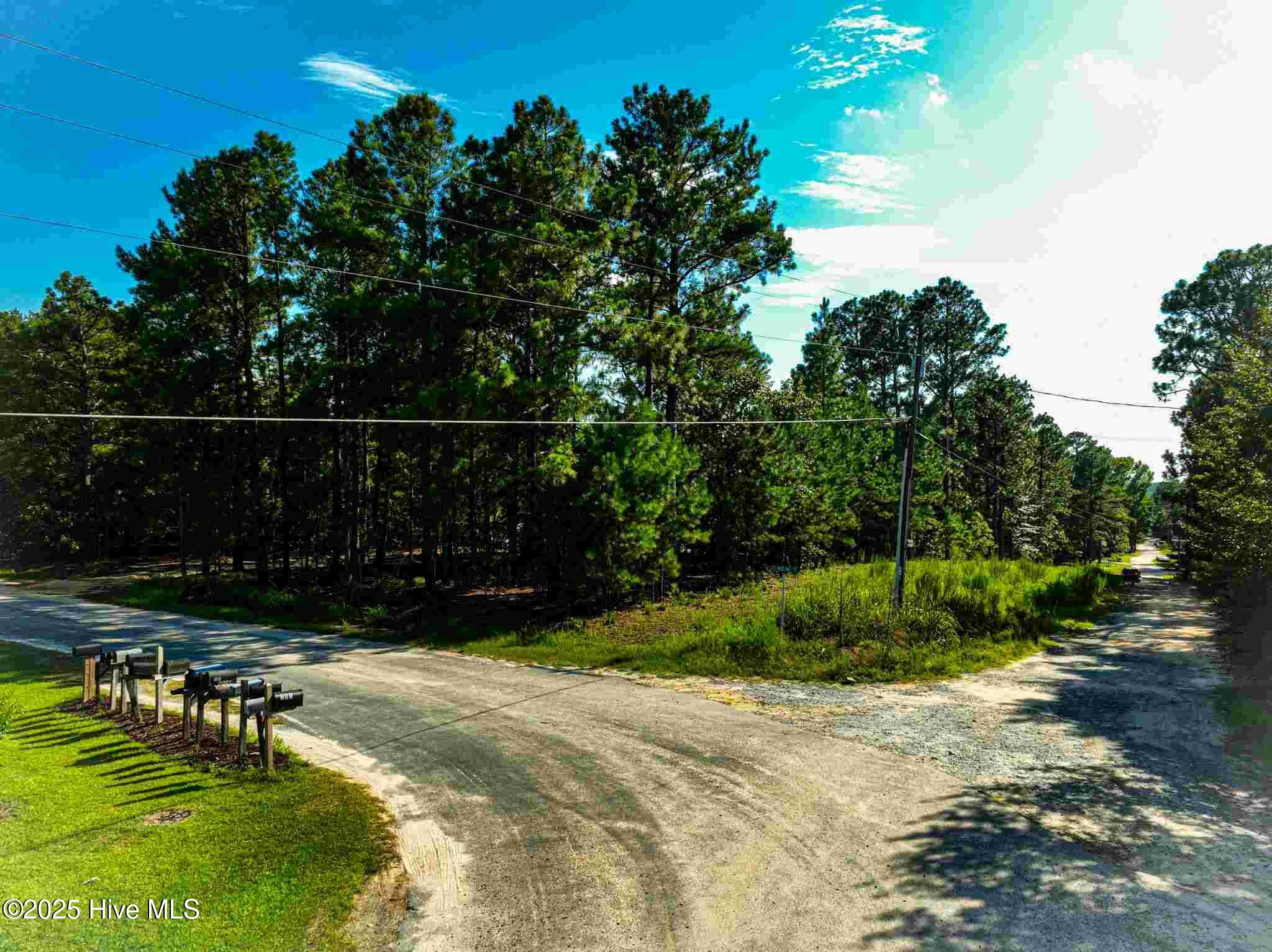 0 Waynor Road Carthage, NC 28327 - Photo 5 of 9 pic4