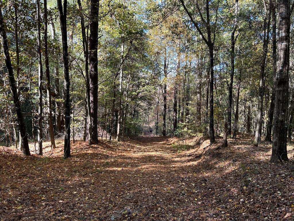 62/ Cty Road Coleman, GA 39836 - Photo 25 of 58