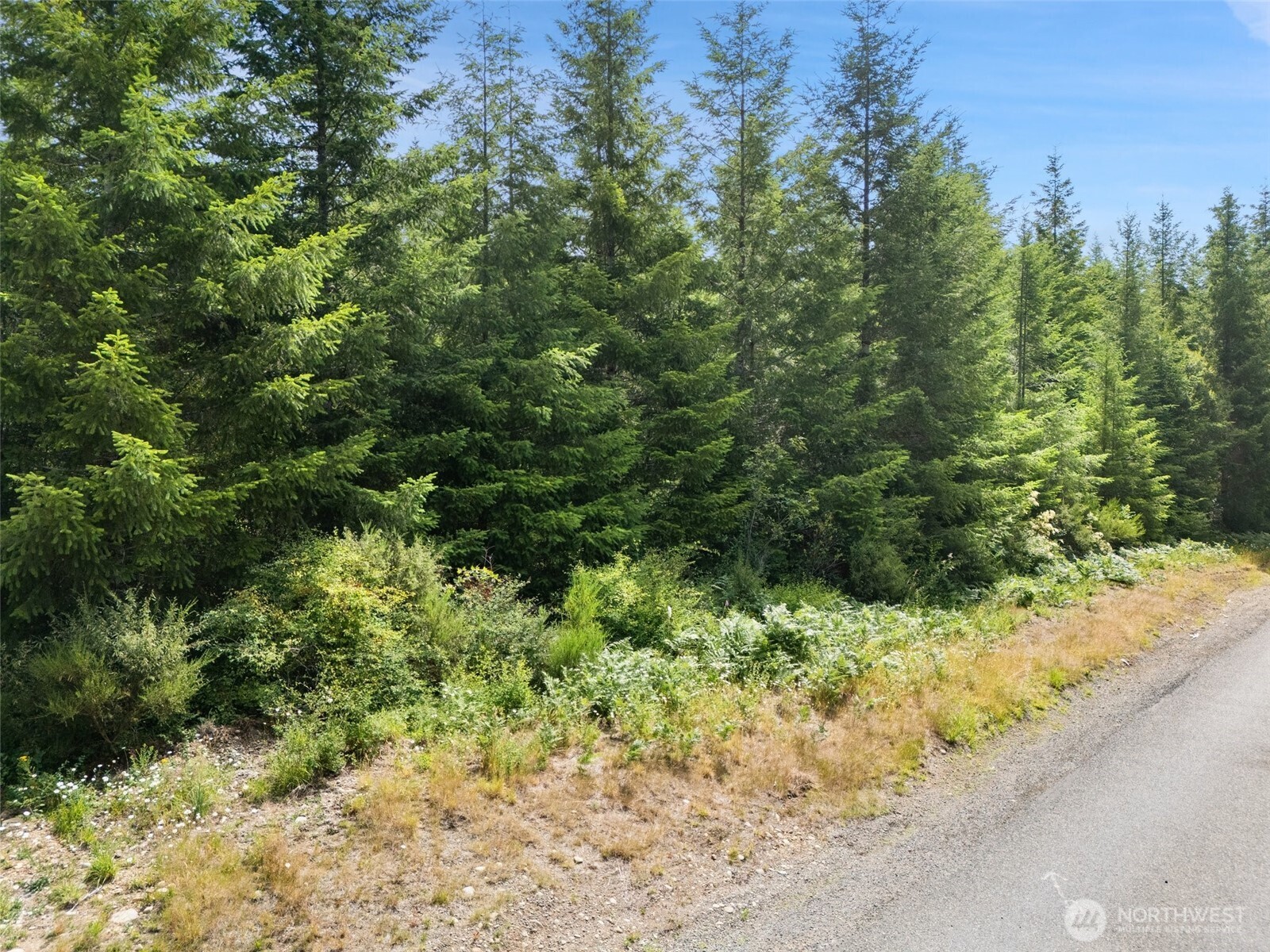 -lot A East Satsop Road East Elma, WA 98541 - Photo 2 of 8