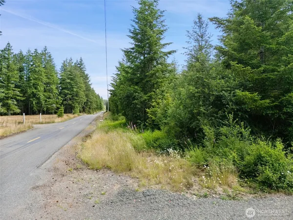 $175,000 | -lot A East Satsop Road East, Elma, WA 98541