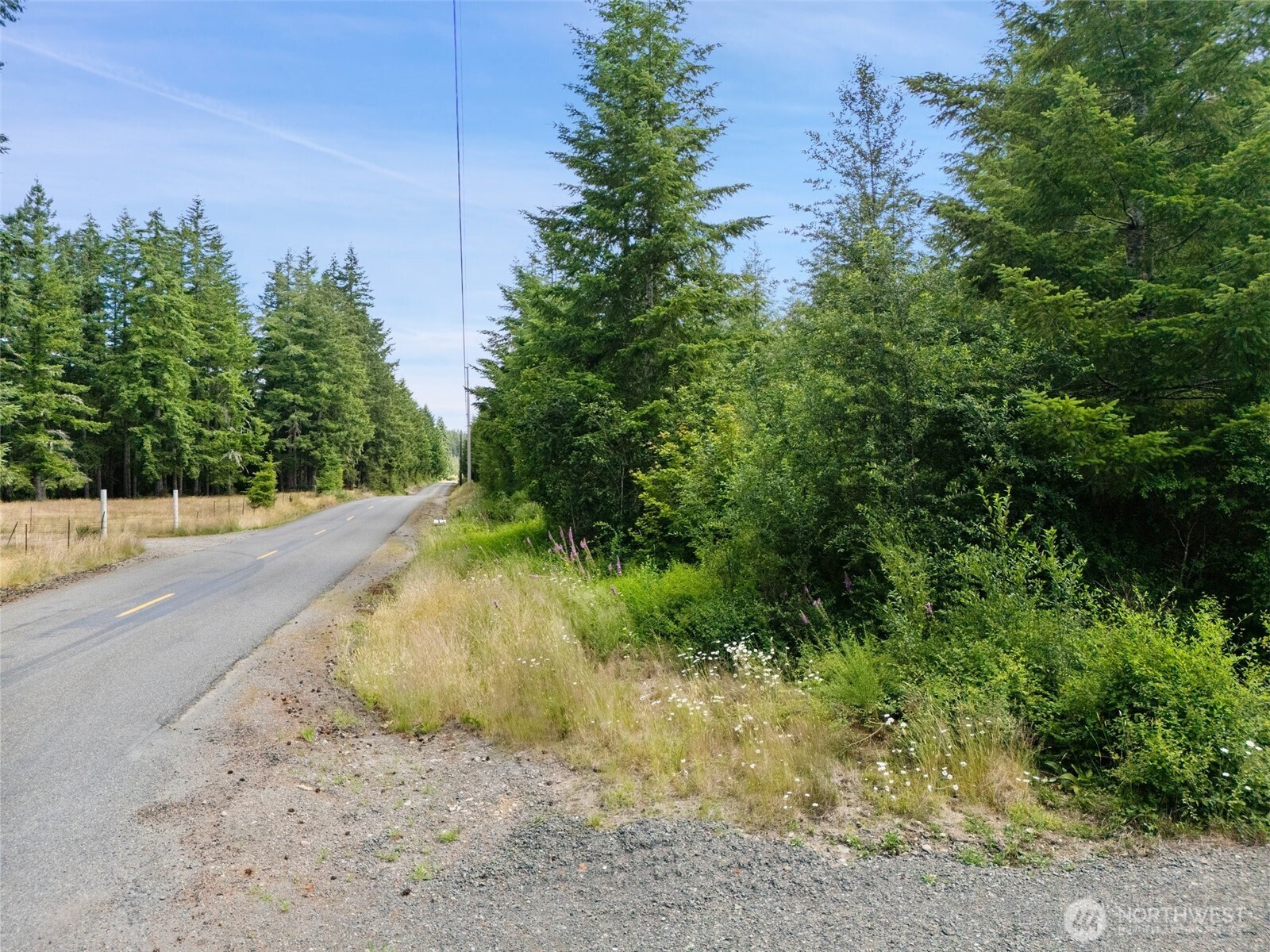 -lot A East Satsop Road East Elma, WA 98541 - Photo 6 of 8