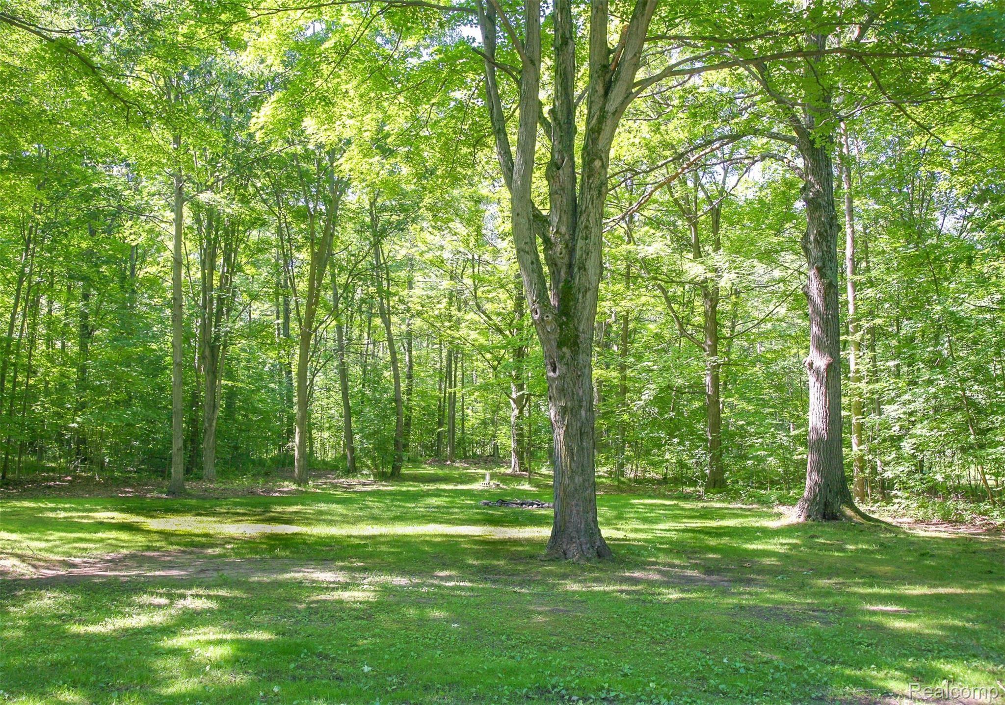 4749 Waldon Road Clarkston, MI 48348 - Photo 14 of 19 IMG_6805.jpg