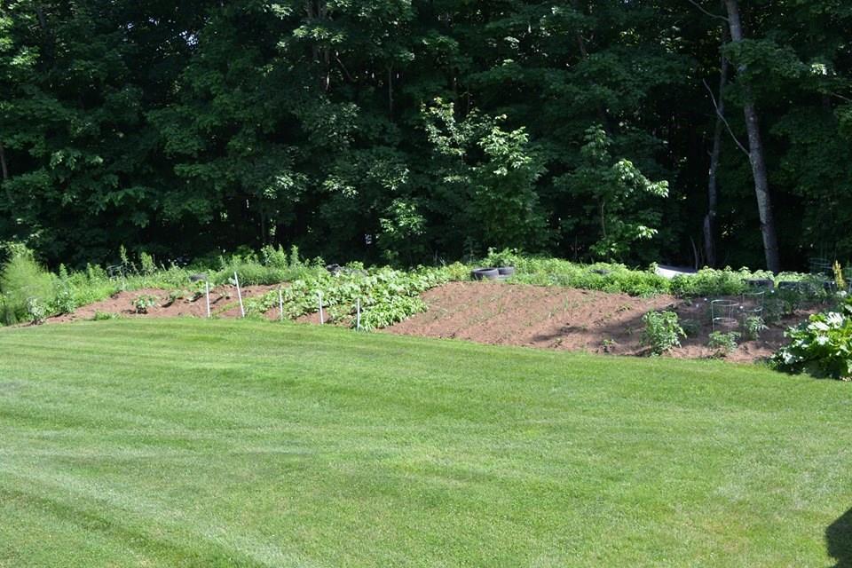 94 Oak Hill Road Wales, ME 04280 - Photo 22 of 30 Asparagus to the left and rhubarb...