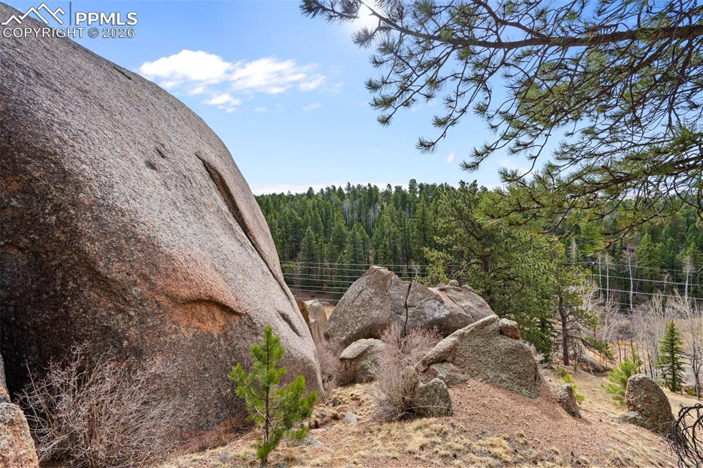 553 Arrowhead Road Florissant, CO 80816 - Photo 14 of 19