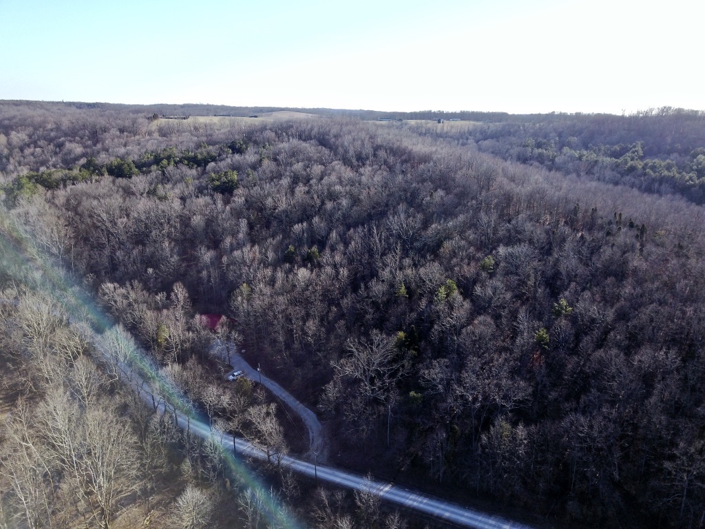 8363 Lily Road Tell City, IN 47586 - Photo 22 of 25