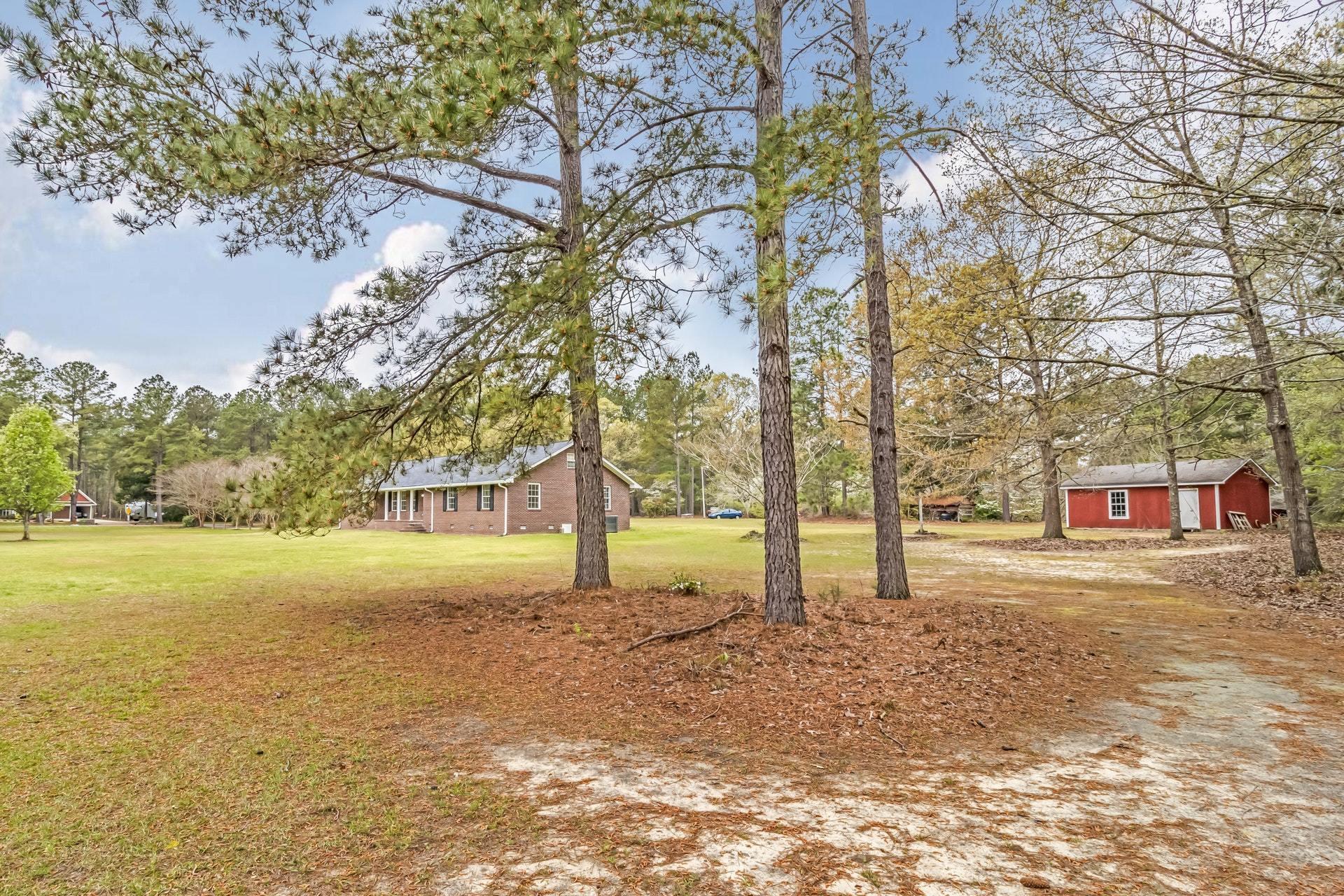 108 County Rd O C - 3380 Elloree, SC 29047 - Photo 11 of 43 005-305124-1_resampled