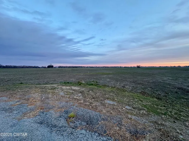 a view of a field with trees in background
