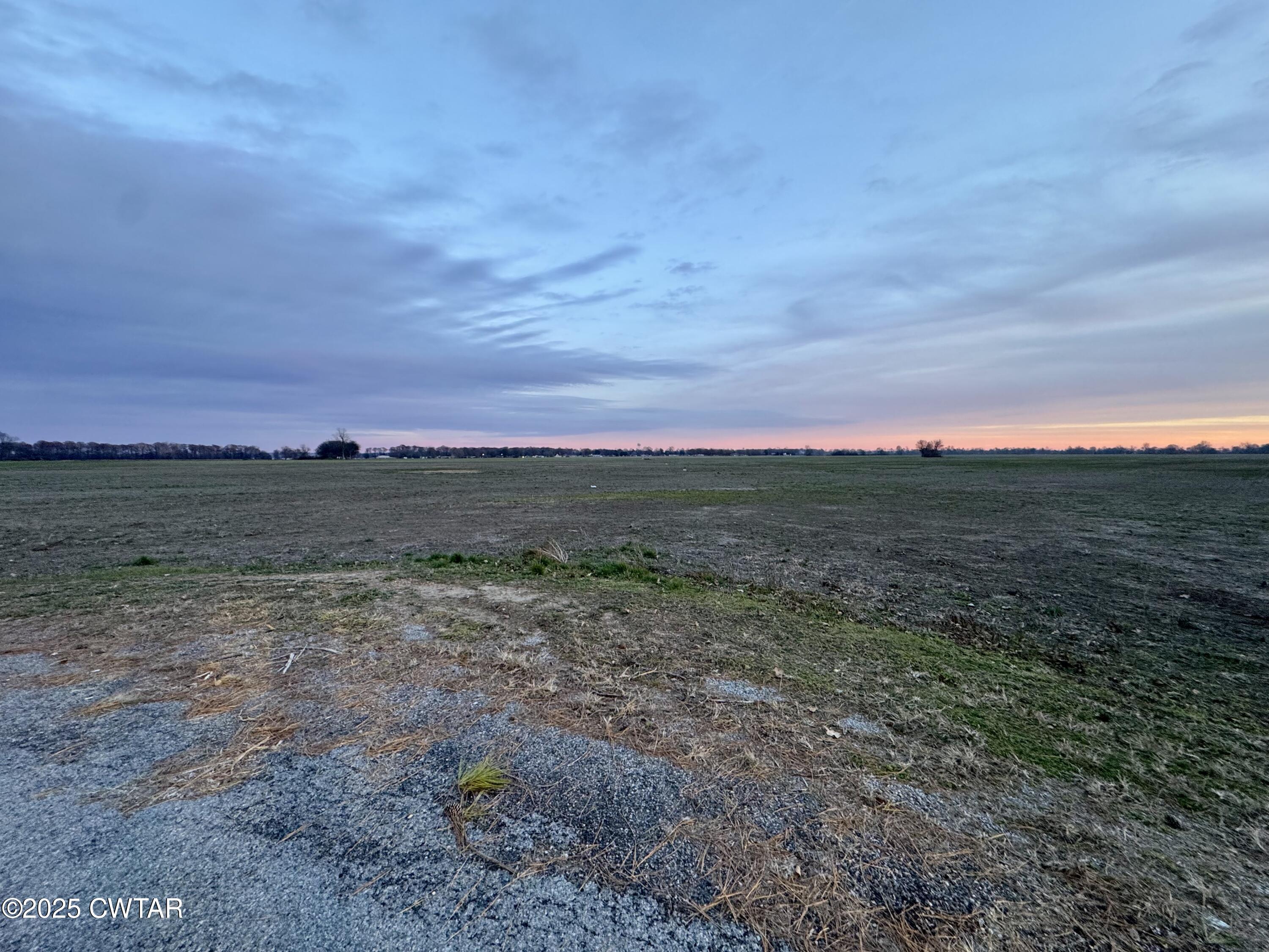 0 Sunkist Beach Road Tiptonville, TN 38079 - Photo 14 of 24 a view of a field with trees in background