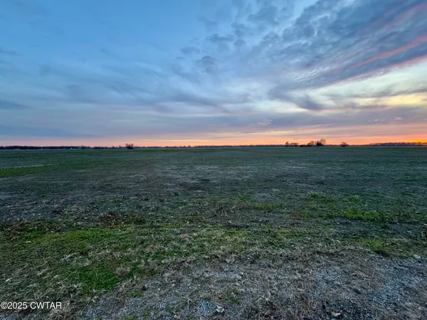 a view of a field with an trees