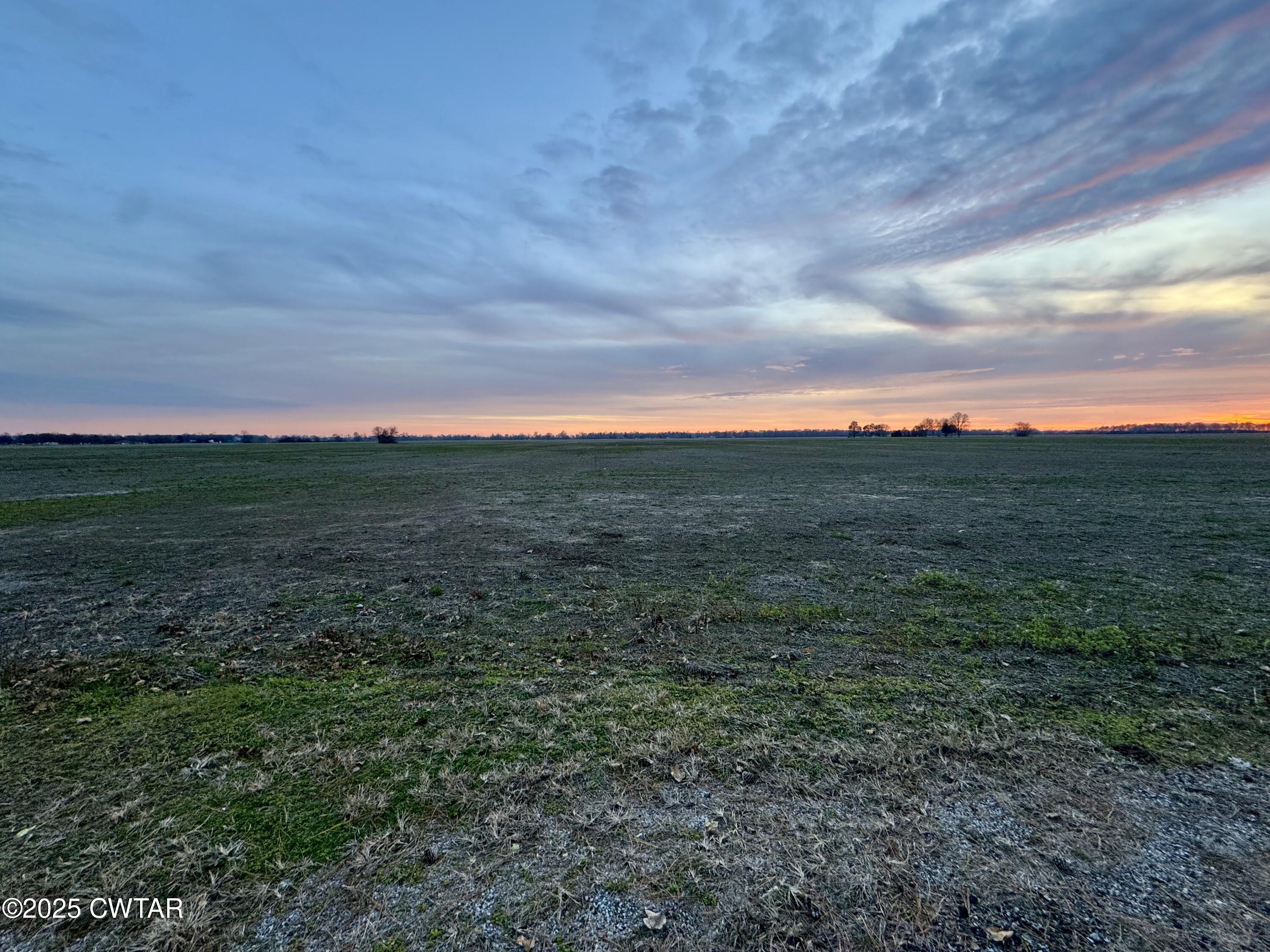 0 Sunkist Beach Road Tiptonville, TN 38079 - Photo 15 of 24 a view of a field with an trees